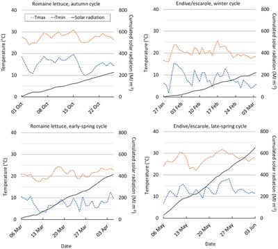 Reduction of Nitrate Content in Baby-Leaf Lettuce and Cichorium endivia Through the Soilless Cultivation System, Electrical Conductivity and Management of Nutrient Solution